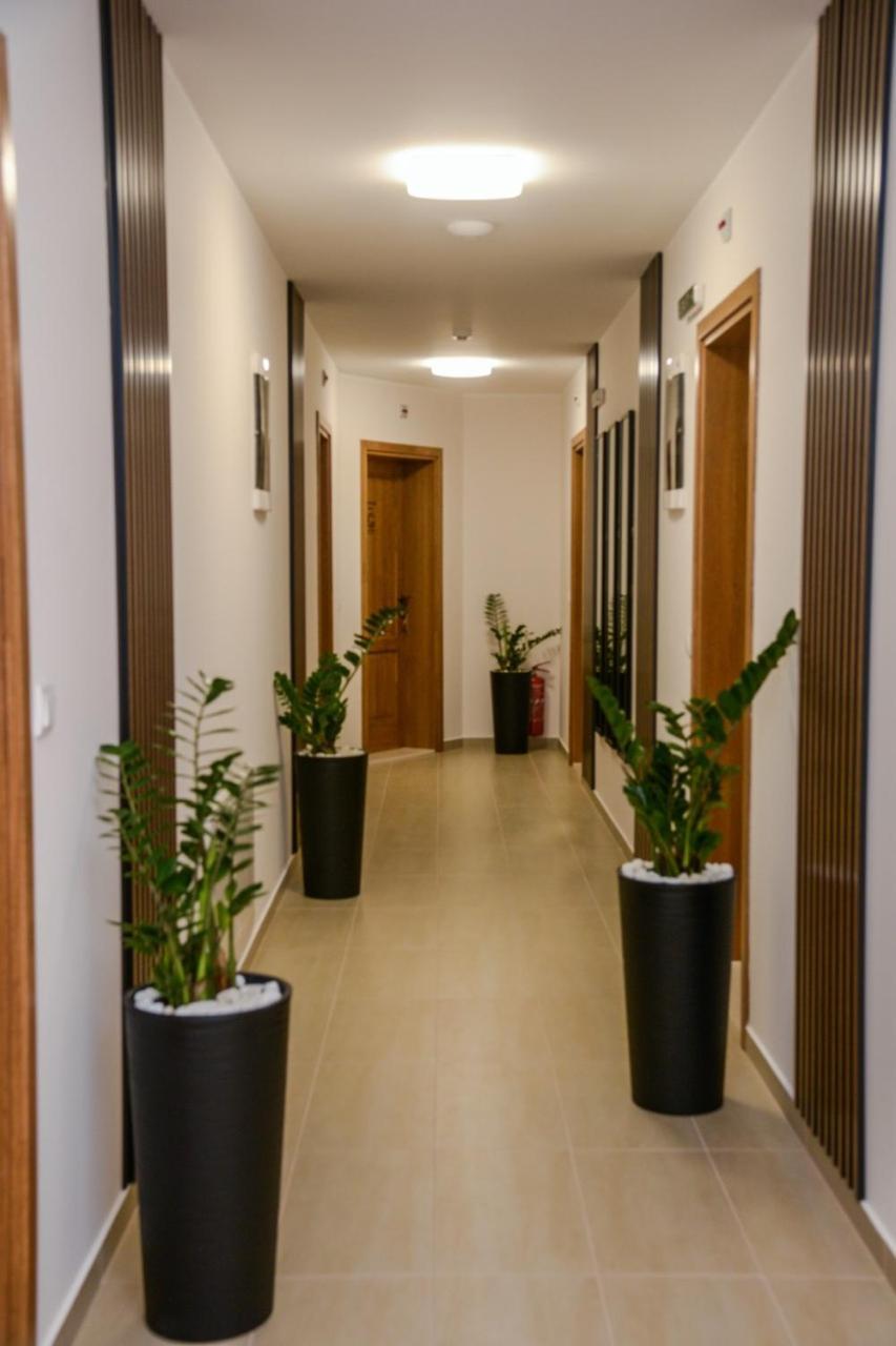 Mini Hotel Riverlux Apartments Bačka Palanka Εξωτερικό φωτογραφία